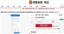 220万股拉卡拉股票9折起拍